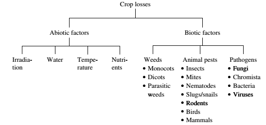 Abiotic and biotic factors causing crop losses