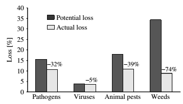 Efficacy of pest control worldwide in reducing loss caused by pathogens, viruses, animal pests and weeds