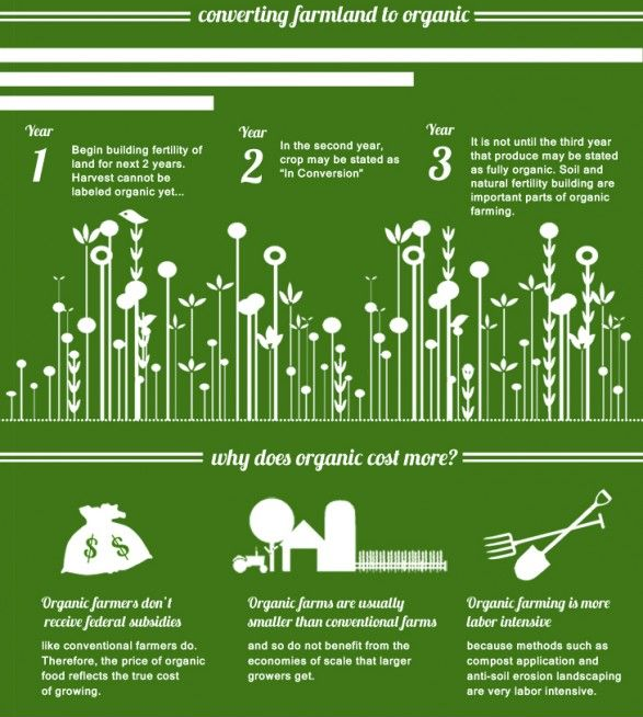 Converting farmland to organic