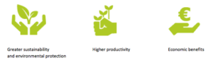 Producing More with Less