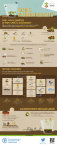 soil-biodiversity