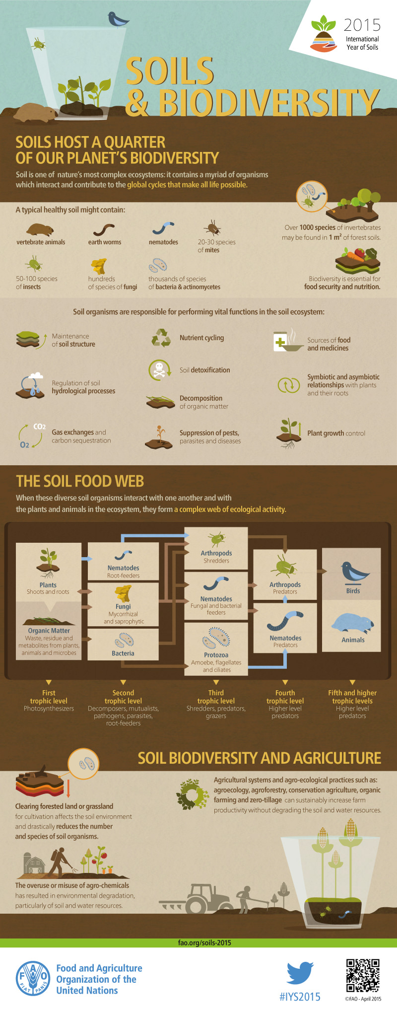 soil-biodiversity