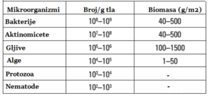 Relativan broj i biomasa mikrobnih vrsta