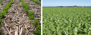 Farmers- Stewards of the Land