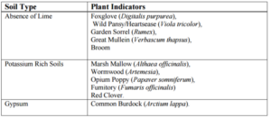 Weeds as Soil Indicators