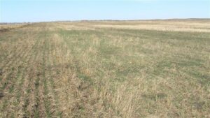 Farmers- Stewards of the Land