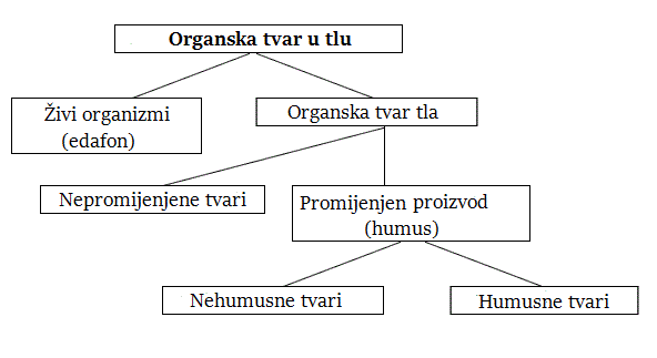 Komponente organske tvari tla