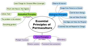 What Is Permaculture?