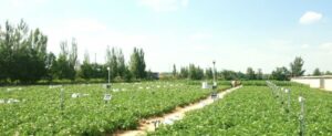 Technologies Changing Agriculture