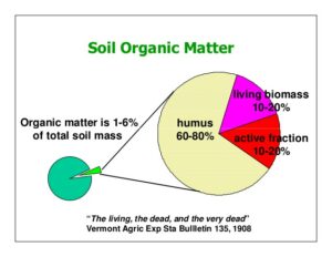 Intensive Farming vs. Humus in Soil
