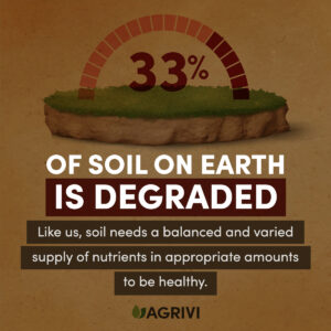 soil degradation
