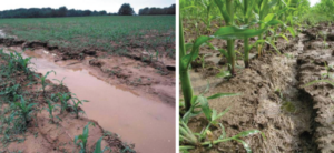 Soil Erosion
