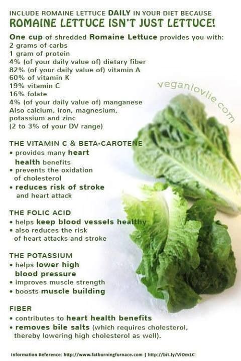 romaine lettuce nutritional value