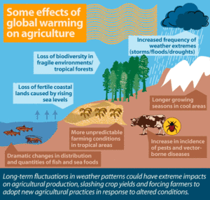 Climate Change Impacts on Agriculture