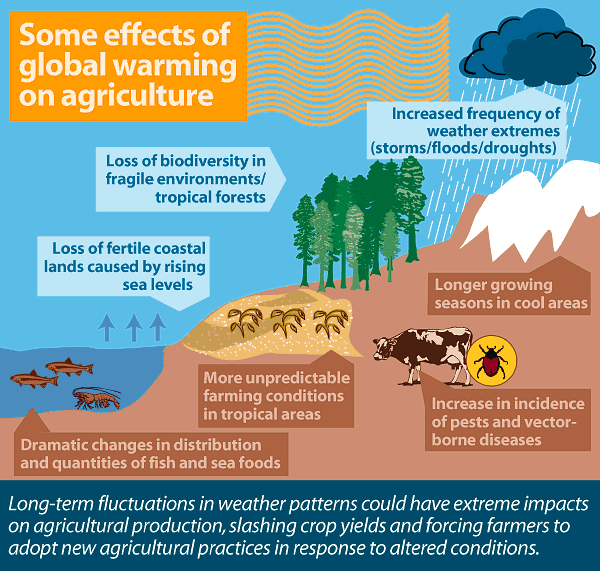 essay on impact of agriculture on environment