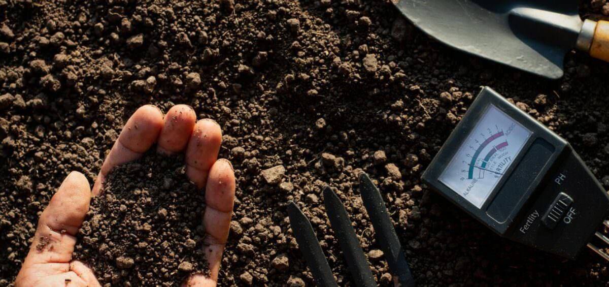 The fertile loam soil was in the hands of the man and the farming equipment was placed in it.
