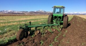 Keep Your Field in Good Shape - Sow Clover-Grass