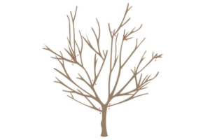 Pruning for Higher Yields