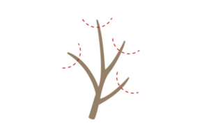 Pruning for Higher Yields