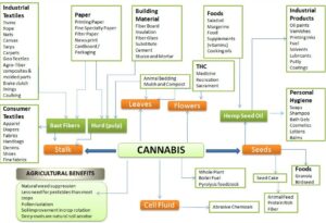 Hemp Farm Management with AGRIVI System