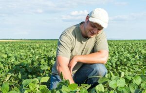 Proper Management of Your Farm with AGRIVI Software