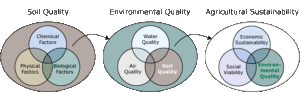 Agricultural Sustainability and Intensive Farming Practices