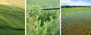Proper Farm Management with Proper Irrigation Method