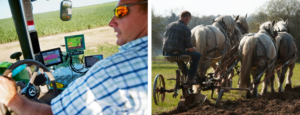 Why Should Young People Stay Involved in Farming?
