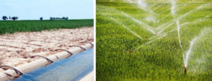 Proper Farm Management with Proper Irrigation Method
