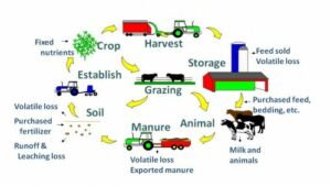 Following Integrated Farming Practices with AGRIVI Farm Management System