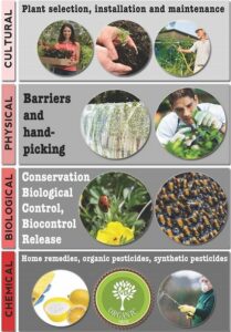 Best Practices for Pest Management in Organic Farm Production