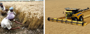 Prevent Crop Loss with Propper Harvest Management