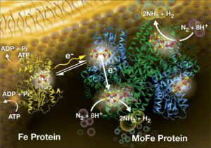 A Game-Changing Process of Making Fertilizers
