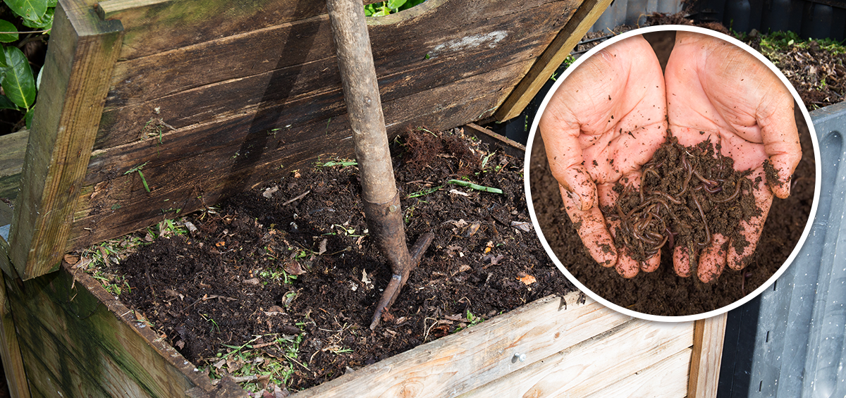 Vermicomposting produces rich soil additive