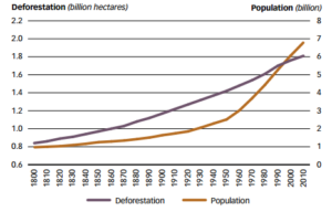 Increasing of Food Production is Possible Without Deforestation