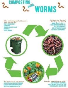 Vermicompost's Role in Farming