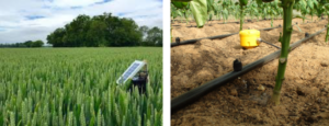 High Technology that Revolutionized Farming
