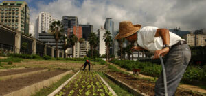 Farming in a Controlled Environment