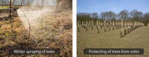 The Best Practices for Using Plant Residues