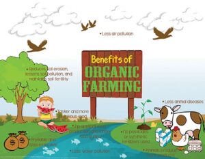 Are Conventional Farmers Becoming Interested in Organic Practices?