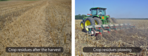 The Best Practices for Using Plant Residues