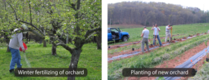 The Best Practices for Using Plant Residues