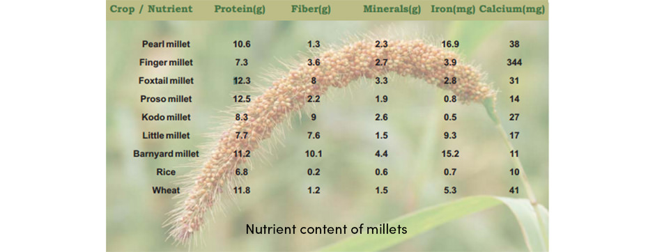 Nutrient Content of Millets