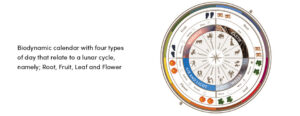 Biodynamic calendar