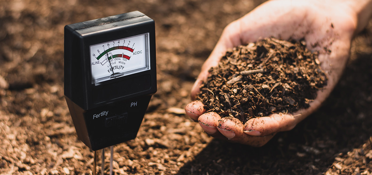 Implementing Soil Testing to Monitor Nitrogen Levels