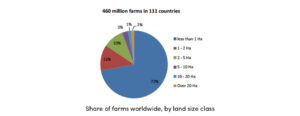 Share of Farms by Farm Size