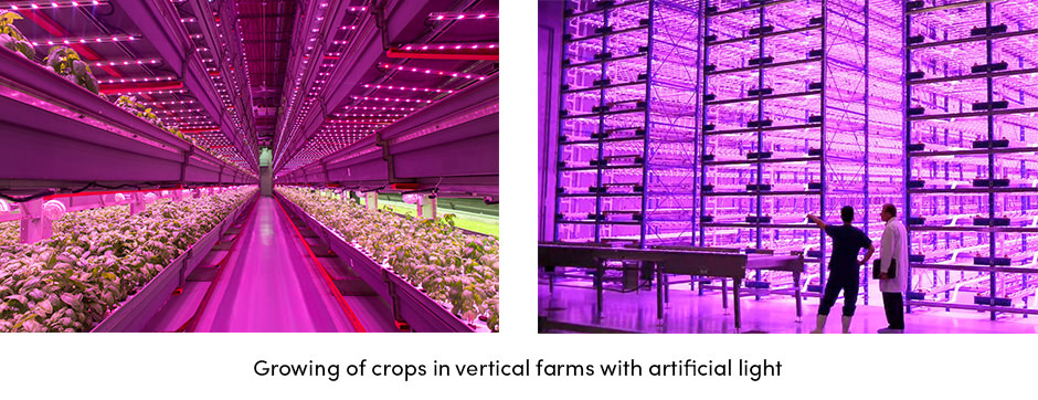 Vertical Farms with Artificial Light