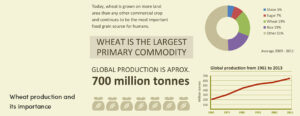 Wheat Production