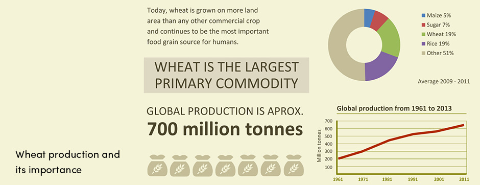 Wheat Production