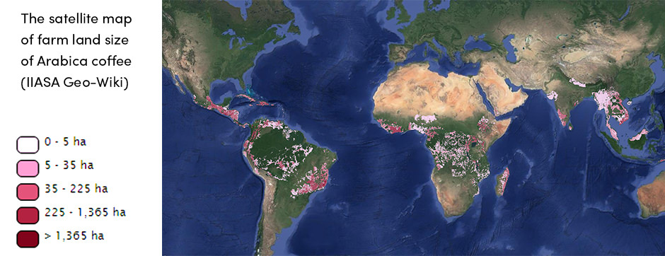 Satellite map of arabica coffee